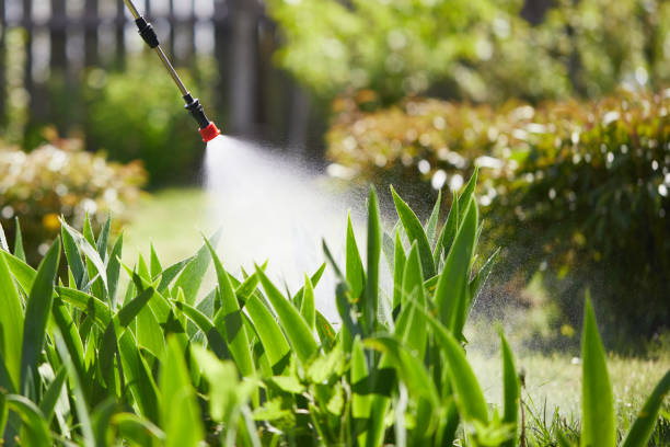 24/7 Emergency Cockroach Control experts in Happy Valley, CA